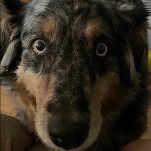 Meet your Posher, Lori